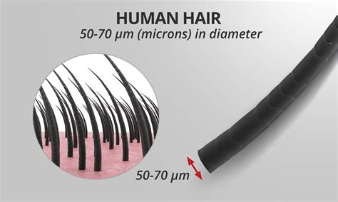 human hair diameter in microns